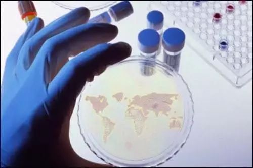 最新預測報告 未來全球石墨烯的九大發展趨勢