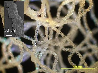 科學家研發(fā)出用于生物醫(yī)學的3D打印硅膠技術(shù)